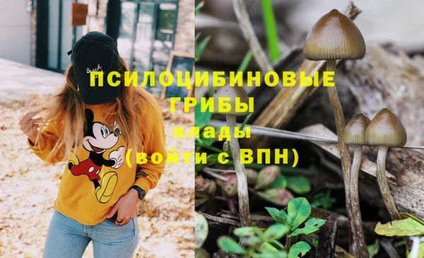 каннабис Няндома