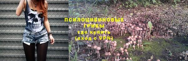 PSILOCYBIN Нягань