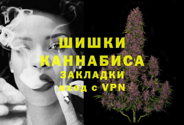 дурь Новодвинск