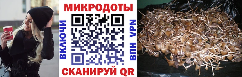 blacksprut   Прохладный  Галлюциногенные грибы Psilocybine cubensis 