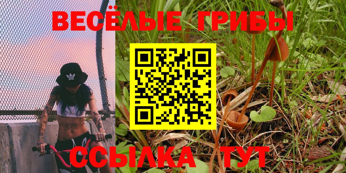 Галлюциногенные грибы прущие грибы  Вход с VPN  Псилоцибиновые грибы GOLDEN TEACHER  Прохладный 